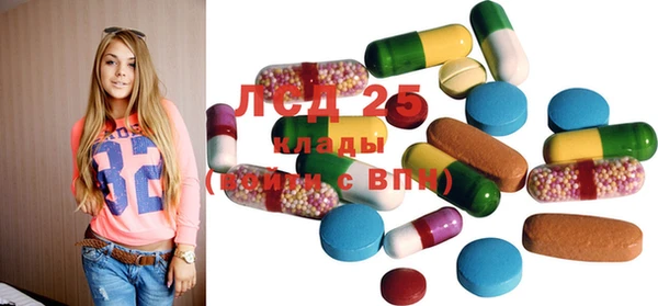 PSILOCYBIN Алзамай