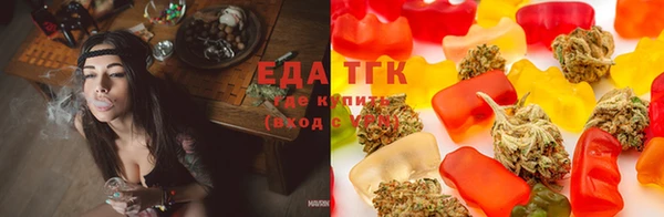 PSILOCYBIN Алзамай