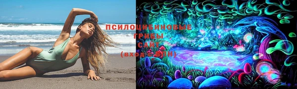 a pvp Алексеевка