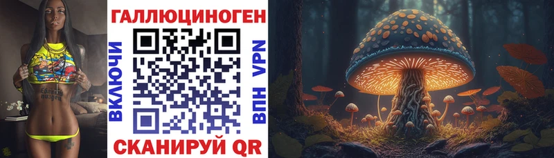 Галлюциногенные грибы Psilocybine cubensis blacksprut зеркало Щигры цены